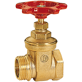 Задвижка с внутр./нар. резьбой 1 1/4" R54 Giacomini R54Y006