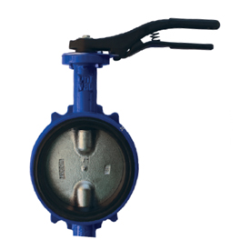 Затвор дисковый поворотный DN200 R59W Giacomini R59WY020
